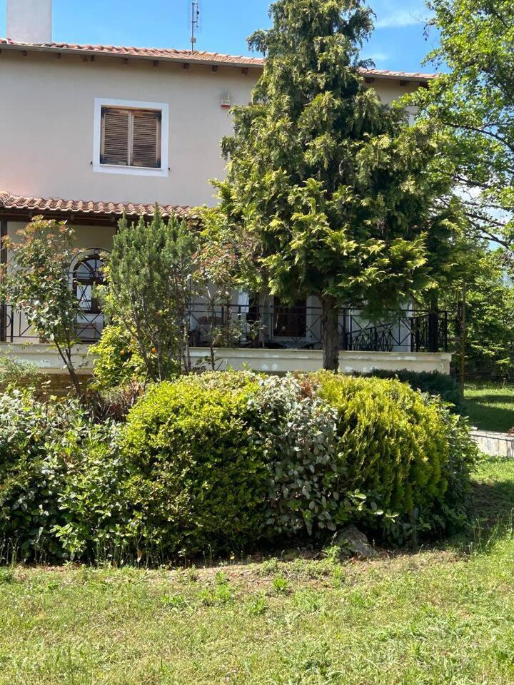 Zeusplace Karia Villa Natura Λεπτοκαρυά Εξωτερικό φωτογραφία