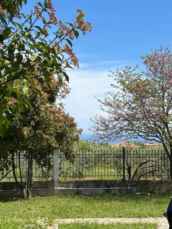 Zeusplace Karia Villa Natura Λεπτοκαρυά Εξωτερικό φωτογραφία