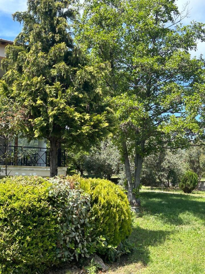 Zeusplace Karia Villa Natura Λεπτοκαρυά Εξωτερικό φωτογραφία